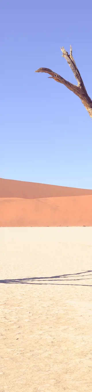 Märchen aus Sand - das Sossusvlei